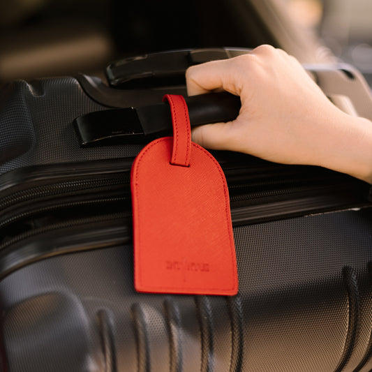 Suitcase Tag II