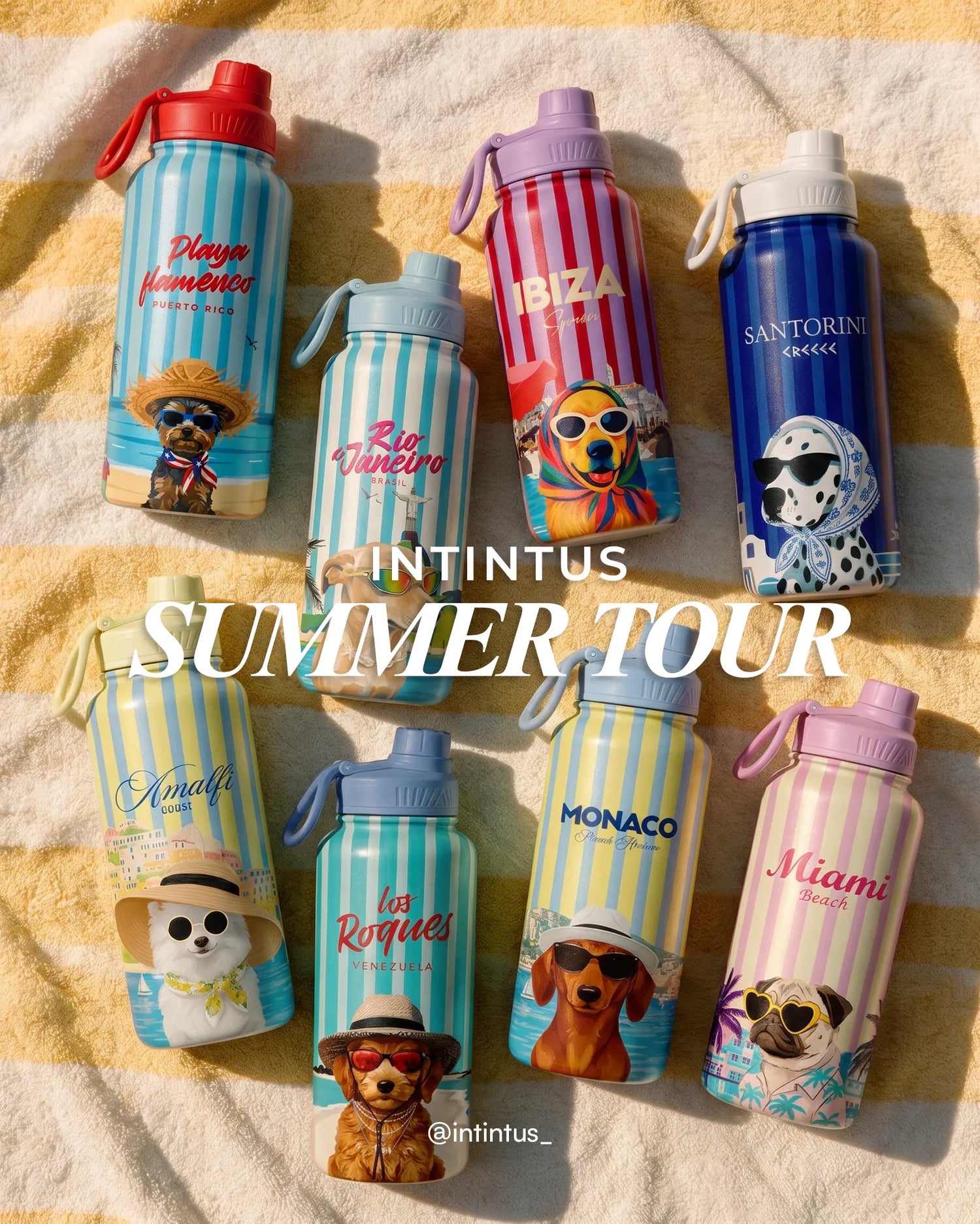 Intintus Summer Tour