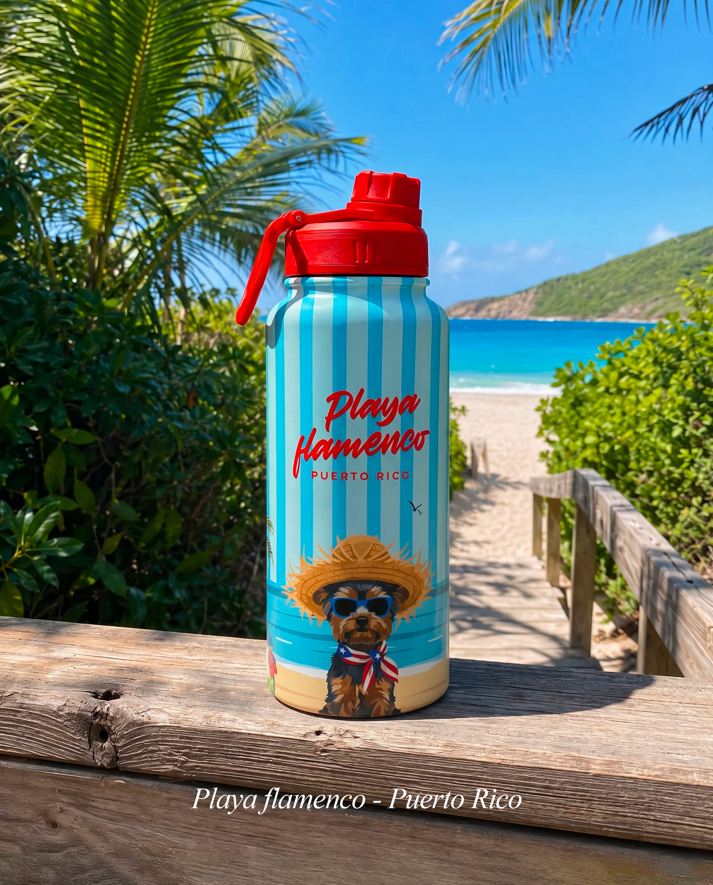 Flamenco Water Bottle