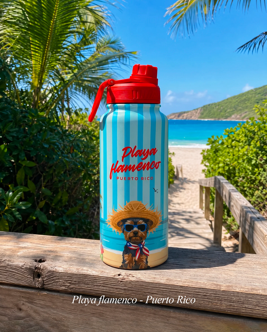 Flamenco Water Bottle